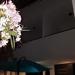 Apartman Star With Pool *