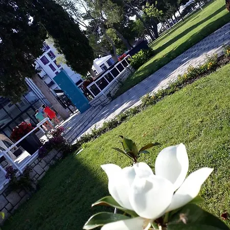 Star With Pool Apartment Biograd Na Moru