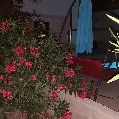 Star With Pool شقة *
