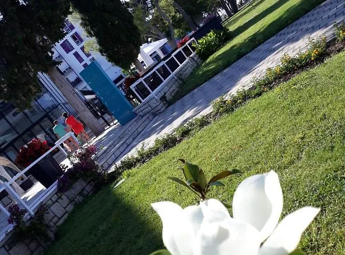Star With Pool Apartament Biograd Na Moru